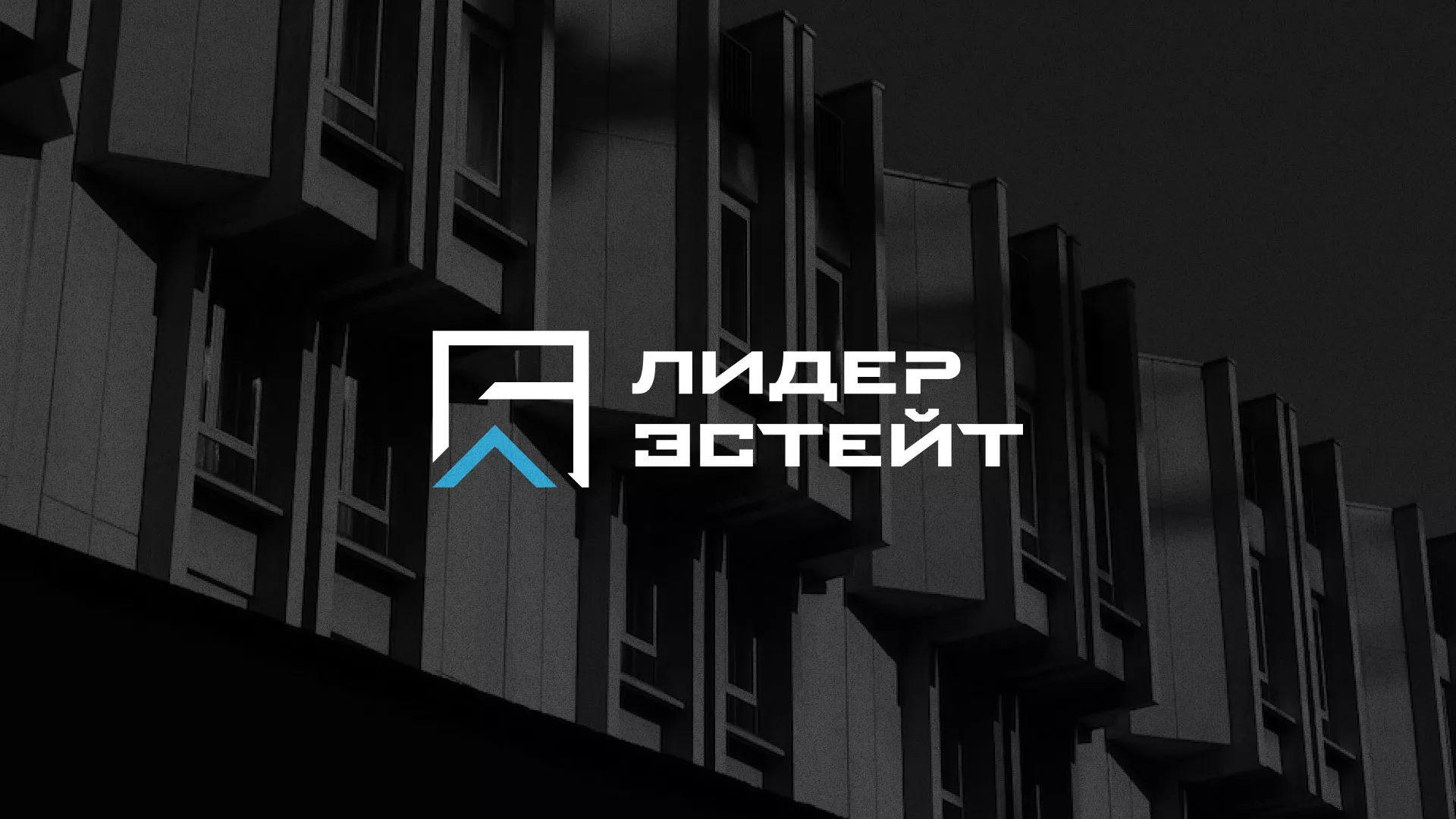 Разработка логотипа агентства недвижимости «Лидер Эстейт» в Мышкине